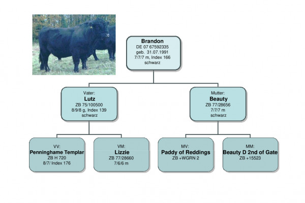 brandon.pdf