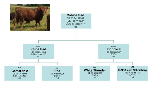 cohiba_red.pdf