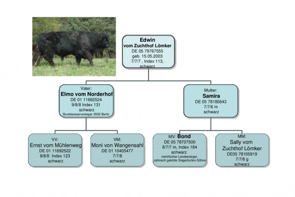 edwin.pdf