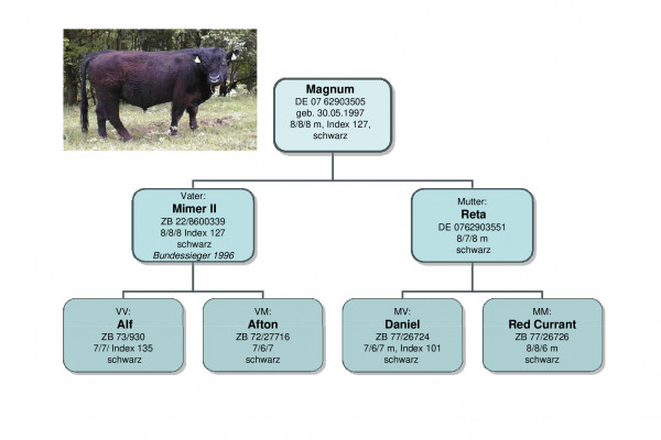 magnum.pdf